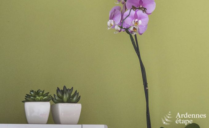 Vakantiehuis in Voeren voor 20/24 personen in de Ardennen