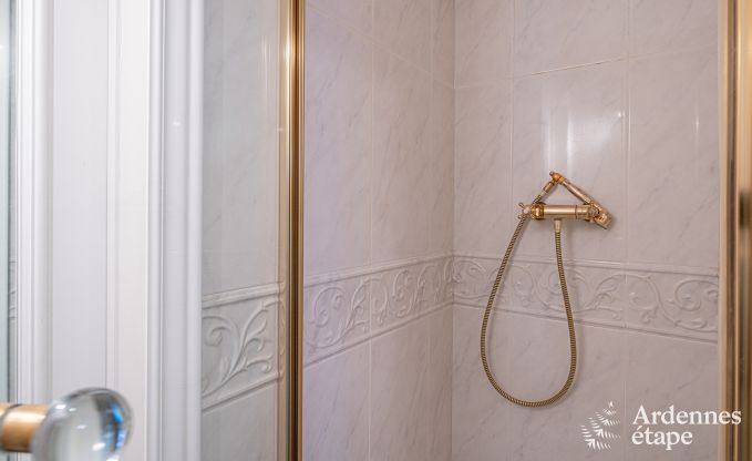 Luxe vakantiehuis voor grote groepen in Vresse-sur-Semois, Ardennen