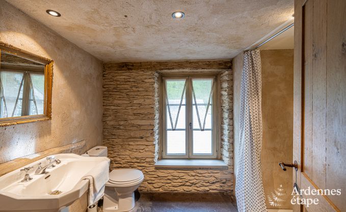 Luxe vakantiehuis voor grote groepen in Vresse-sur-Semois, Ardennen