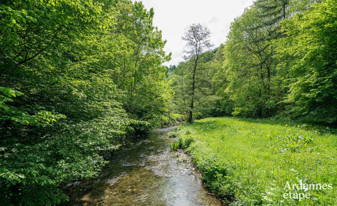 Luxe vakantiehuis voor grote groepen in Vresse-sur-Semois, Ardennen