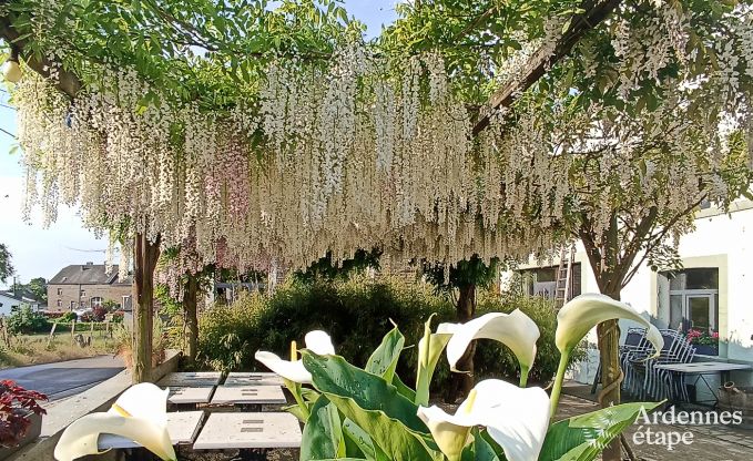 Vakantiehuis in Bi�vre voor 21 personen in de Ardennen