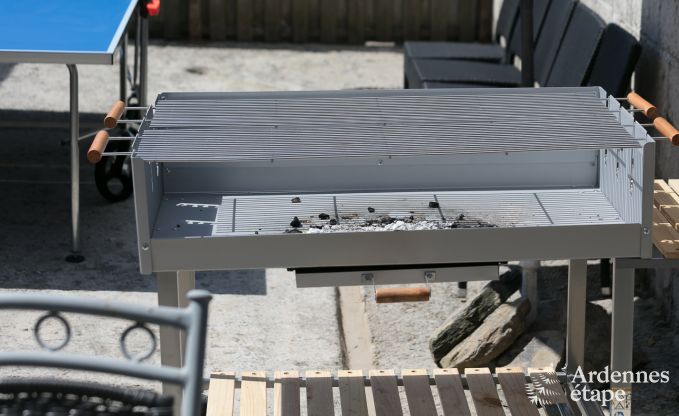 Hondvriendelijk vakantiehuis voor 10 personen in Bi�vre