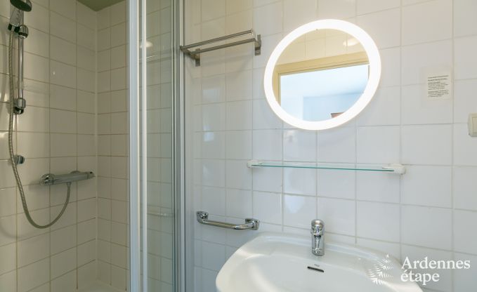 Hondvriendelijk vakantiehuis voor 10 personen in Bi�vre