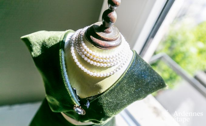 Hondvriendelijk vakantiehuis voor 10 personen in Bi�vre