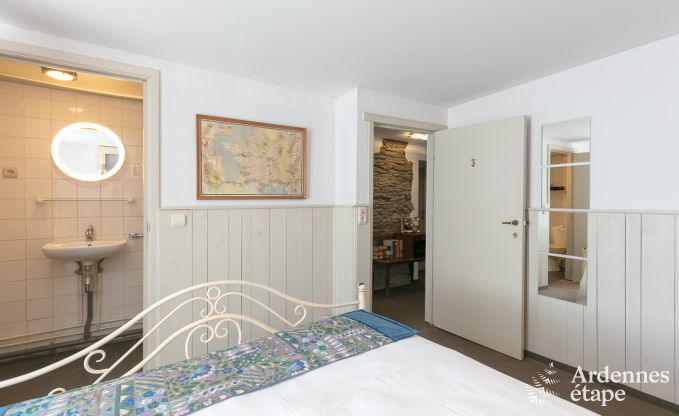 Hondvriendelijk vakantiehuis voor 10 personen in Bi�vre