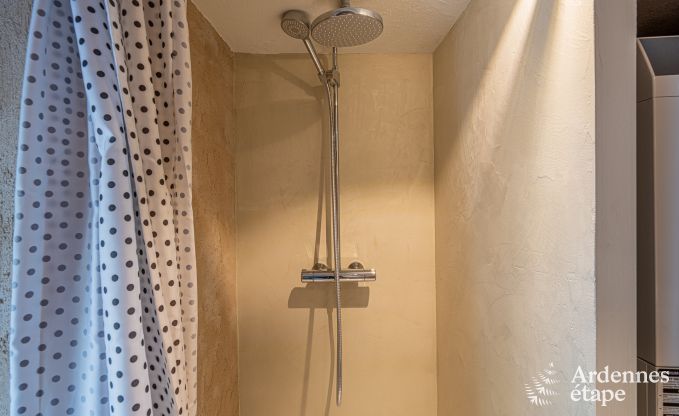 Luxe vakantiehuis voor grote groepen in Vresse-sur-Semois, Ardennen