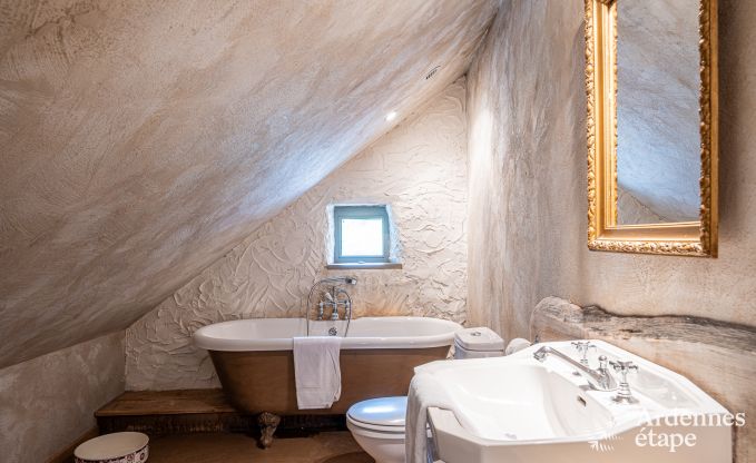 Luxe vakantiehuis voor grote groepen in Vresse-sur-Semois, Ardennen