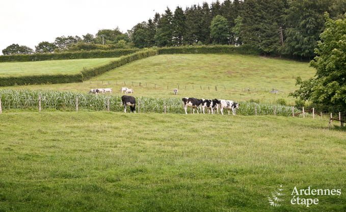 Vakantiehuis in Waimes voor 24 personen in de Ardennen