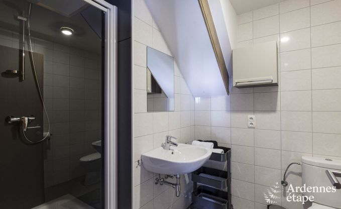 Vakantiehuis in Waimes voor 18 personen in de Ardennen