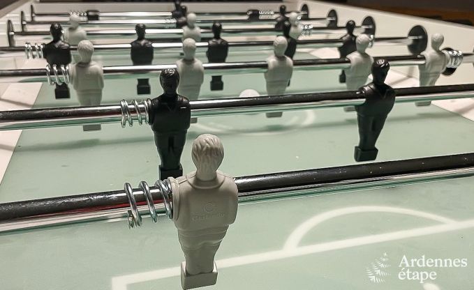 Ruim en hondvriendelijk vakantiehuis in Waimes met zwembad