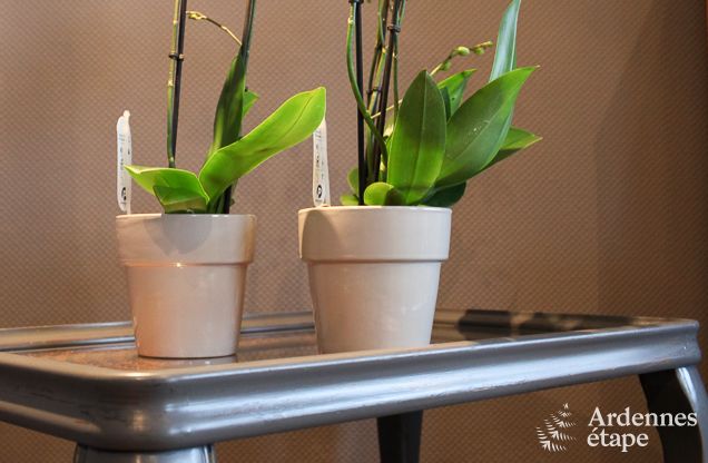 Vakantiehuis in Waimes voor 22 personen in de Ardennen