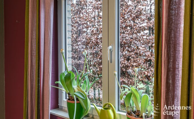 Vakantiehuis in Waimes voor 24 personen in de Ardennen