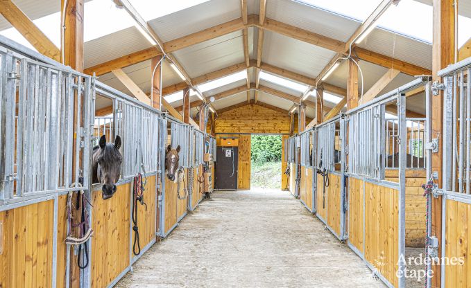 Vakantiehuis in Walcourt, Ardennen, 6 personen, 3 slaapkamers, buitenzwembad, gemeenschappelijke tuin, moderne voorzieningen