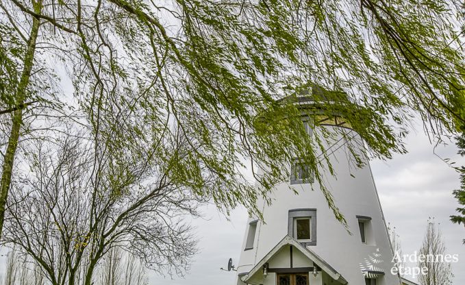Uniek 3-sterren vakantiehuis in een molen te huur voor 4 pers in Borgworm