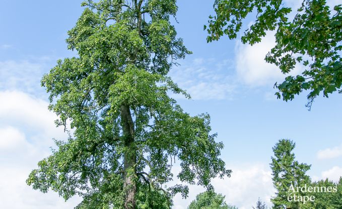 Vakantiehuis in Waremme voor 4 personen in de Ardennen