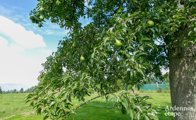 Vakantiehuis in Waremme voor 4 personen in de Ardennen