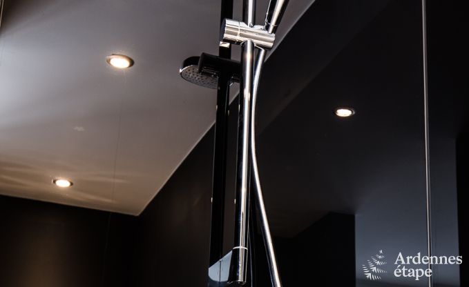 Vakantiehuis in Wellin voor 18 personen in de Ardennen