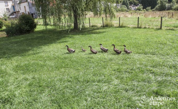 Vakantiehuis in Wiltz (LUX) voor 6 personen in de Ardennen