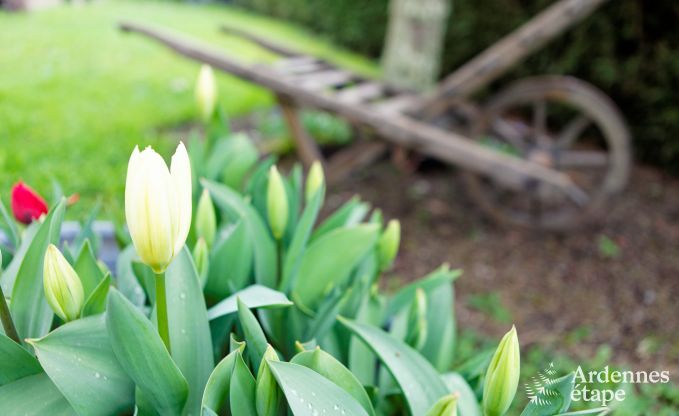 Vakantiehuis in Wiltz (LUX) voor 6 personen in de Ardennen