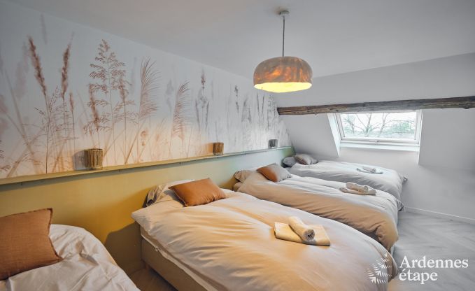 Charmante dorpswoning voor 10 personen in Yvoir: hottub, open haard, grote priv�tuin