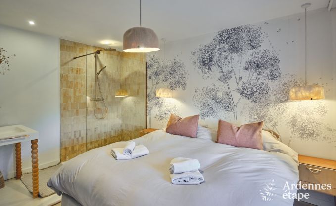 Charmante dorpswoning voor 10 personen in Yvoir: hottub, open haard, grote priv�tuin