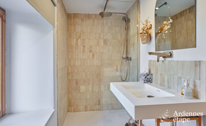 Charmante dorpswoning voor 10 personen in Yvoir: hottub, open haard, grote priv�tuin