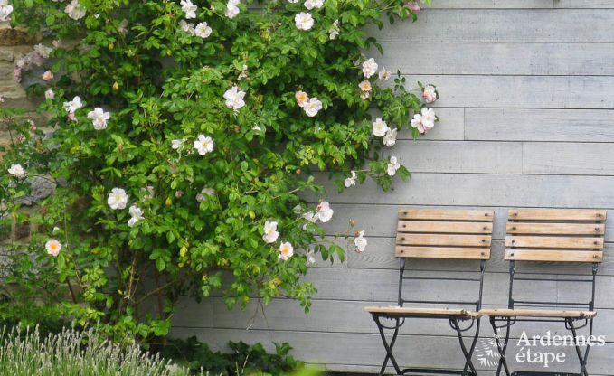 Vakantiehuis in Yvoir voor 4/5 personen in de Ardennen