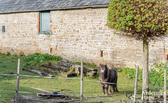 Vakantiehuis in Yvoir voor 8 personen in de Ardennen